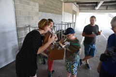 2023-07-01_11H-49m-37s