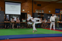 2025-06-21_15H-33m-26s