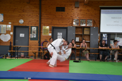 2025-06-21_15H-33m-40s