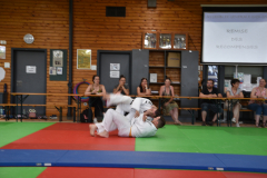 2025-06-21_15H-33m-41s