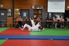 2025-06-21_15H-33m-43s