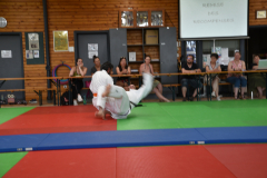 2025-06-21_15H-33m-55s