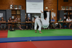 2025-06-21_15H-35m-08s