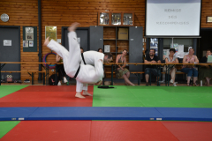 2025-06-21_15H-36m-35s