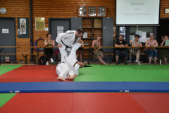 2025-06-21_15H-36m-36s