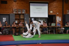 2025-06-21_15H-40m-38s