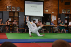 2025-06-21_15H-40m-56s