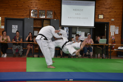 2025-06-21_15H-44m-12s