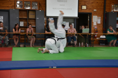 2025-06-21_15H-44m-43s