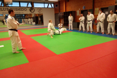 00001IMG_00001_BURST1636818172814_COVER