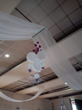 IMG_20221230_111621419
